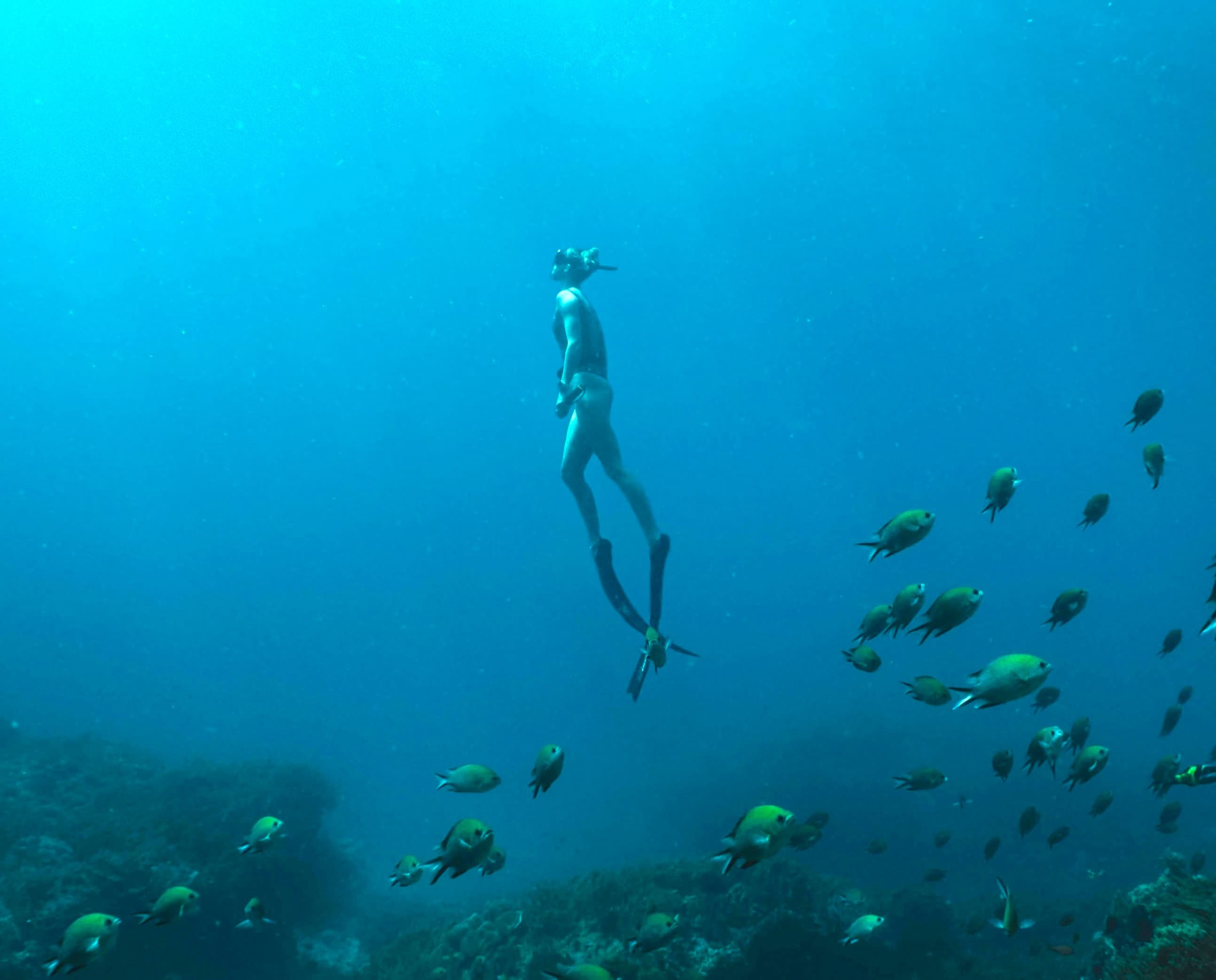 Arrière-plan pour Dune France
