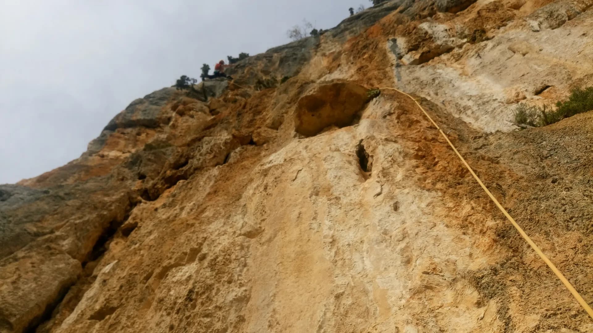 Photo de profil de Moniteur Canyoning / Escalade